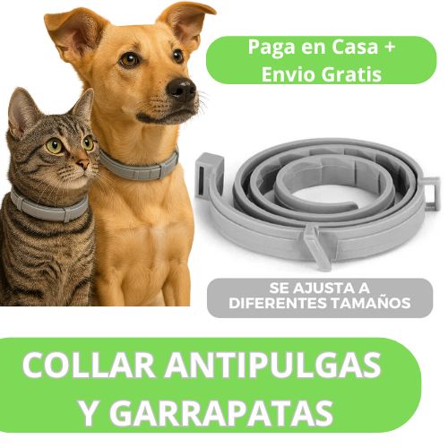 Collar Antipulgas Natural.