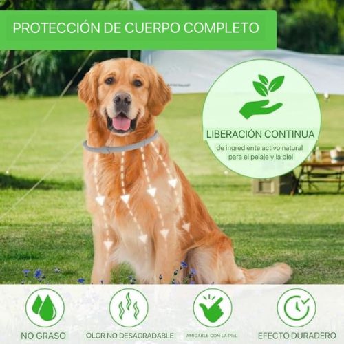 Collar Antipulgas Natural.