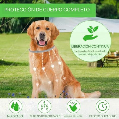 Collar Antipulgas Natural.