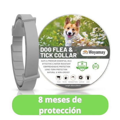 Collar Antipulgas Natural.